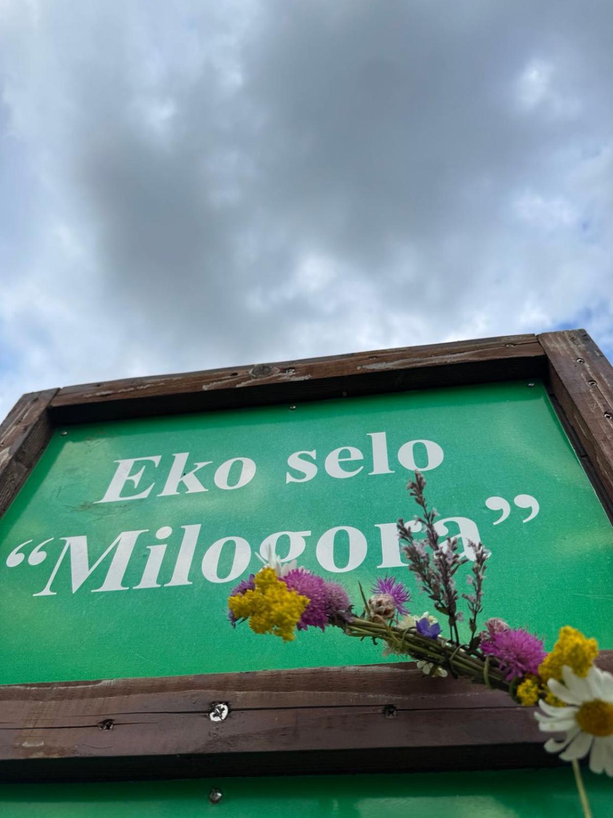 Etno Selo - Guest House Etno Village - Trsa Plužine Ngoại thất bức ảnh